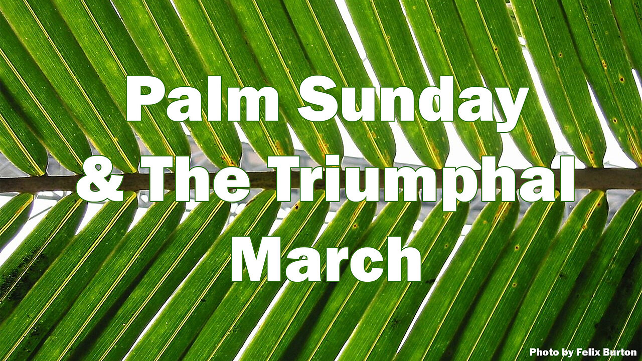 Palm Sunday and Jesus’s March from Hermon to Jerusalem